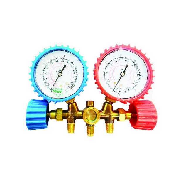 گیج کیا مدل دوقلو کد r22